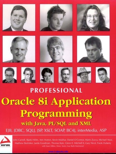 Professional Oracle 8i Application Programming