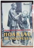 Hoakiau Di Indonesia