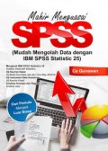 Mahir Menguasai SPSS: Mudah Mengolah Data Dengan IBM SPSS Statistic 25